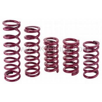 Eibach Suspension - Eibach 2.5" ID Race Springs (7" free length)