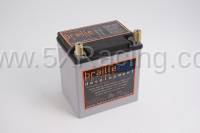 Electrical - Batteries and Battery Maintenance - Braille Auto - Braille B3121 - "Exteme Use / Audio" Any Car any Day Battery